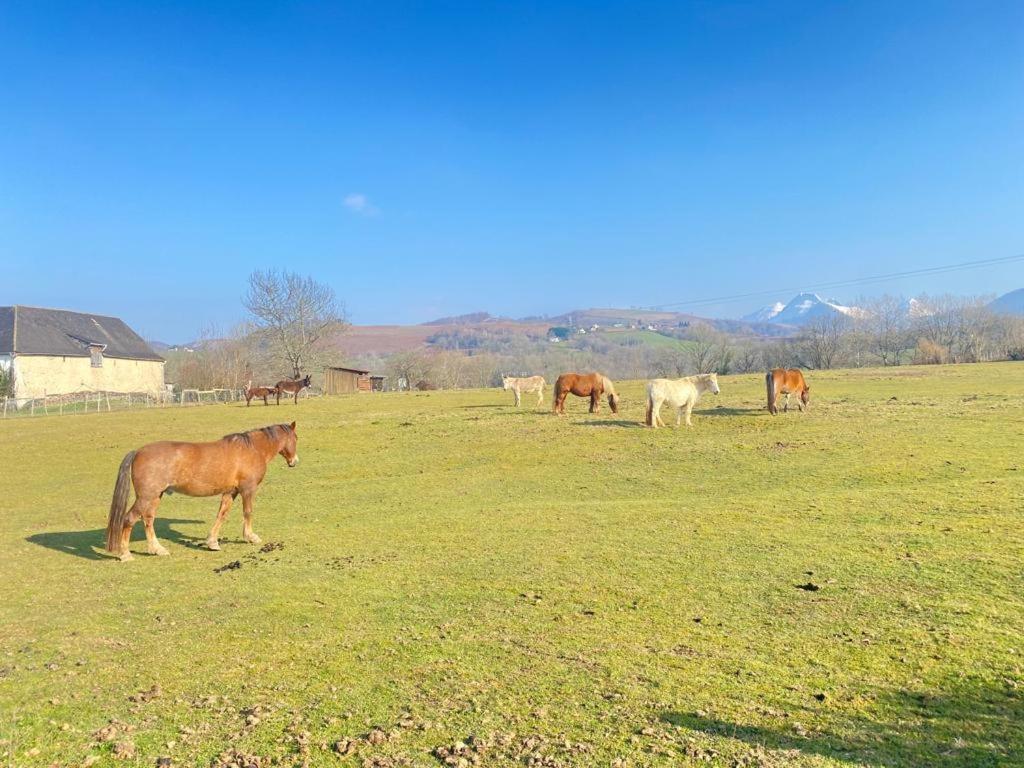 Chateau Porthos Tranquillite Des Pyrenees Lanne-en-Baretous Zewnętrze zdjęcie